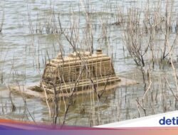 Makam Kuno Muncul Pada Waduk Gajah Mungkur Surut, Ternyata Ini Sosoknya