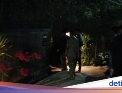 Takut Dipolisikan, 11 Turis Asing Akhirnya Bayar Utang Trip Rp 19 Juta