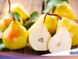 5 Buah Paling Bagus buat Asupan Minuman agar Berat Badan Cepat Turun