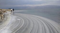 Laut Mati Mengering dan Suhu Airnya Terdeteksi Naik hingga 8 Derajat Celcius