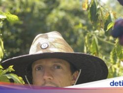 Jason Mraz Punya Kebun Hampir 7 Hektar, Tanam Alpukat hingga Minuman