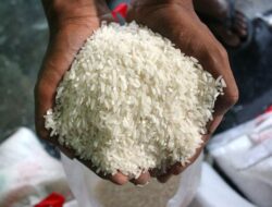 Tak Perlu Lagi Perluasan Lahan Sawah