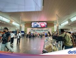 Jangan Macam-macam, KLIA Perketat Keselamatan Bandara Pakai Anjing Pelacak K9